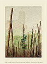 %_tempFileName08_moselburg_1976%