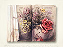 %_tempFileName25_busenrose_1980-81%